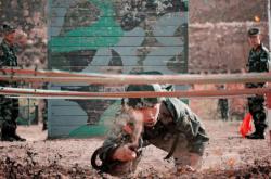 爱游戏-爆发性比赛重现，场上对决如火如荼的简单介绍