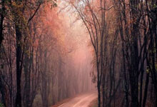 爱游戏登录-深圳佳兆业主场与天津泰达战平，双方战绩分列中游