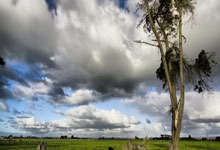 爱游戏网页版-匈牙利必胜冰岛！力争晋级争夺权力之巅