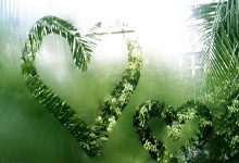 爱游戏-韩国举重新星再创新高，勇夺金牌续写辉煌篇章