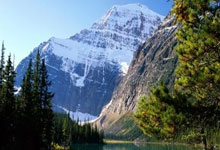 爱游戏在线-乔丹科尔：不排除再度回到总决赛并获得冠军，科里乔丹