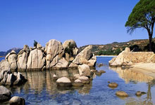 爱游戏入口-足球赛场上一幕感人的画面，情感涌动，足球赛场上的感人瞬间