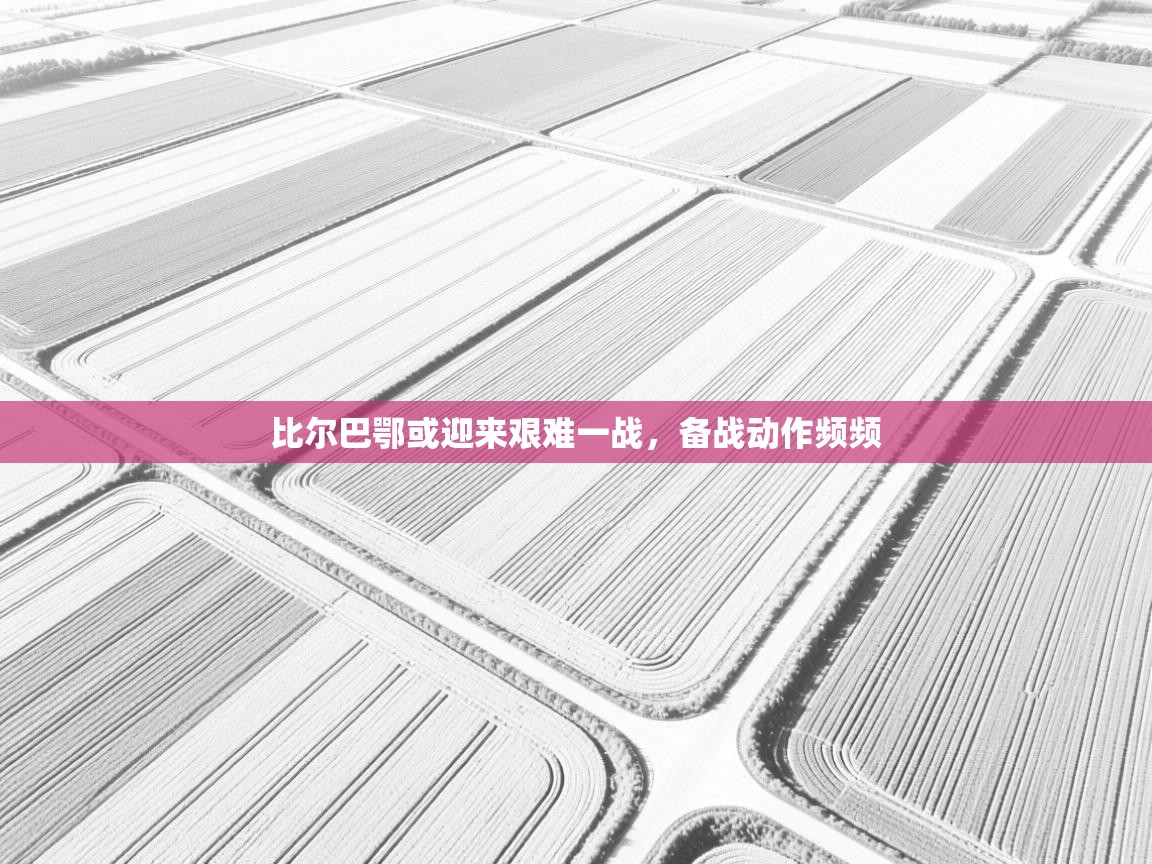 比尔巴鄂或迎来艰难一战，备战动作频频  第2张