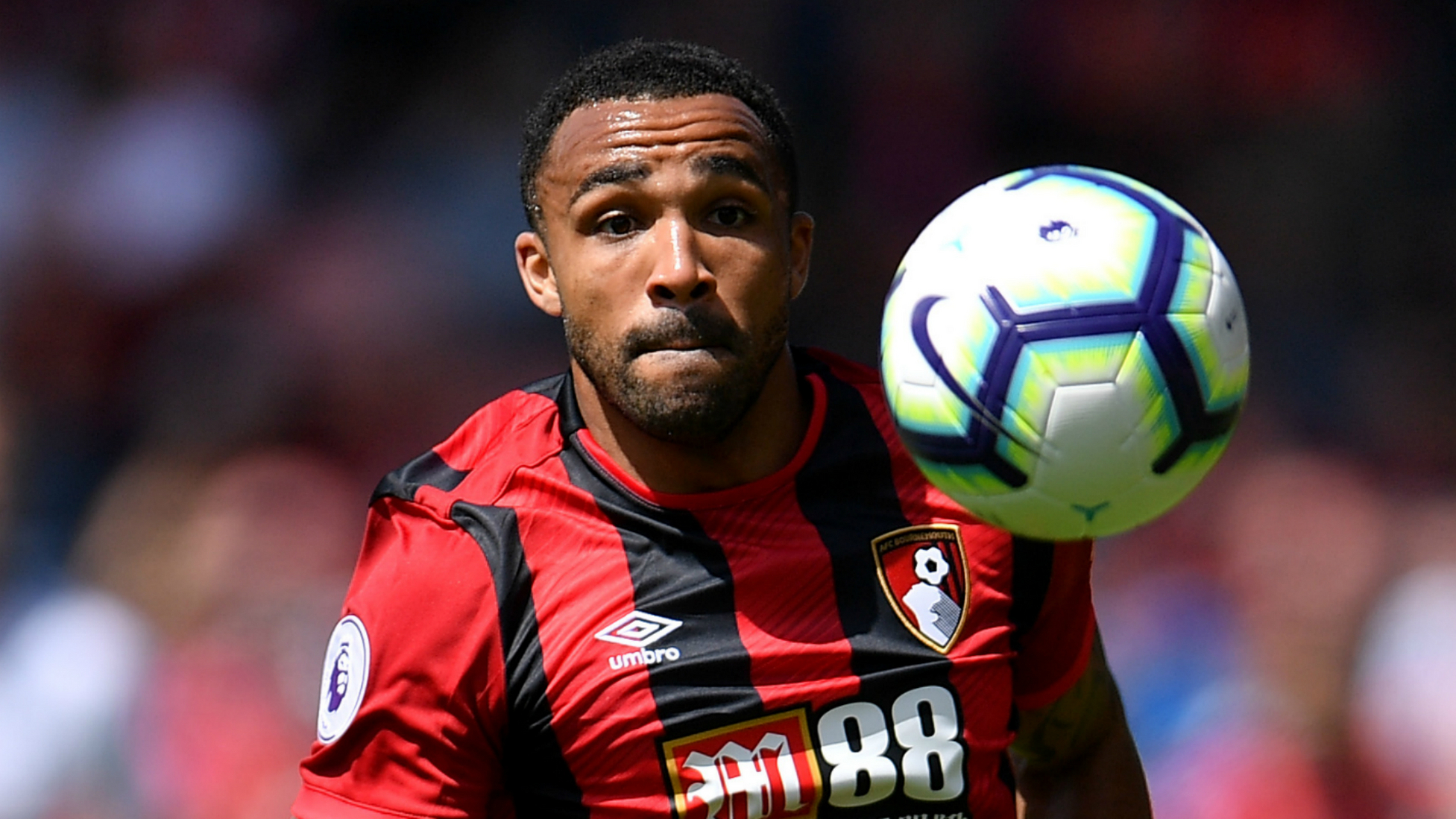 包含霍芬海姆士气高涨，时刻准备迎战的词条