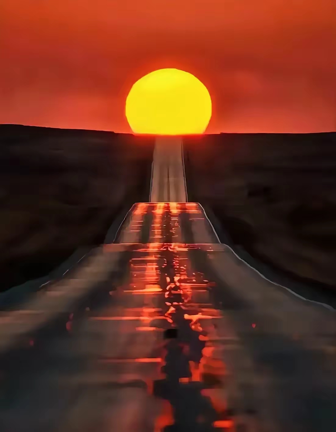 尼斯震撼击败对手，夺冠前途一片光明的简单介绍