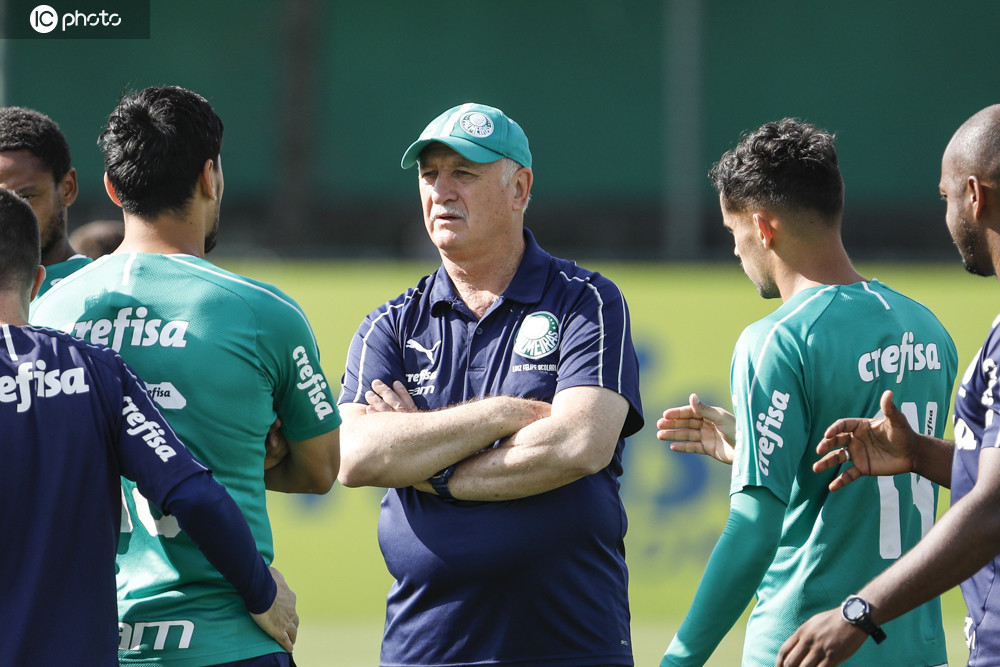 包含帕尔梅拉斯核心球员体能恢复，备战蒙特雷的词条