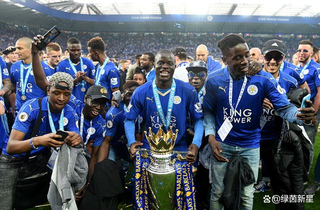 莱斯特城主场战平，英超前六位置仍有机会的简单介绍