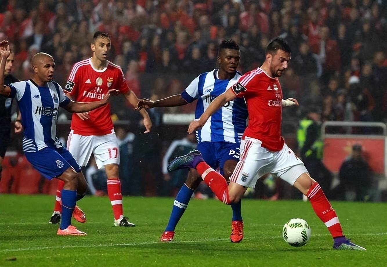 博洛尼亚袭占对手阵地，全力以赴的简单介绍