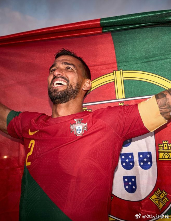 波兰队主场战胜奥地利，晋级欧国联四强的简单介绍