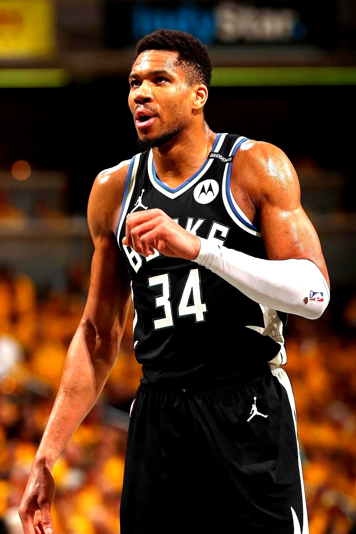 雄鹿战胜公牛，字母哥全场表现全面贡献的简单介绍